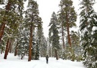 WinterGallery2023_1
