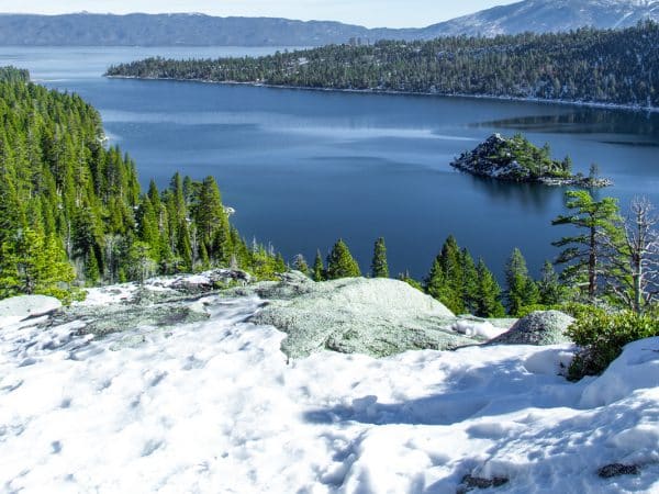 Reliable Services Winter handyman