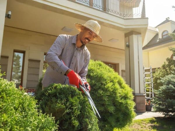Landscaping handyman in Kings Beach, California